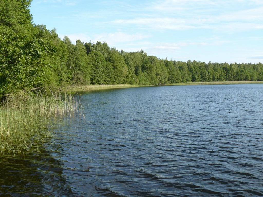 Domek Letniskowy - Jerutki Номер фото